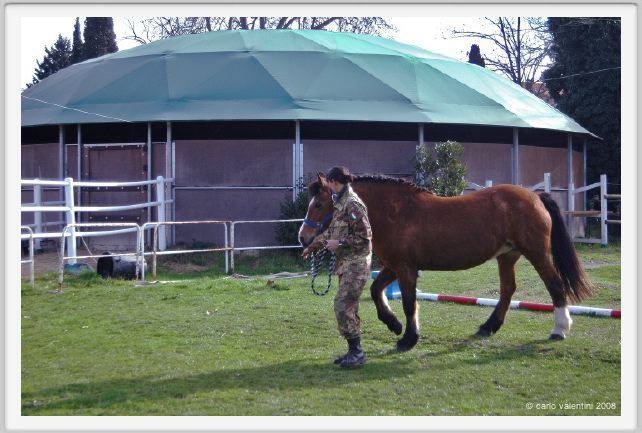 cmv_grosseto022