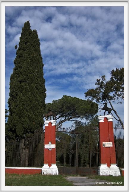 cmv_grosseto002
