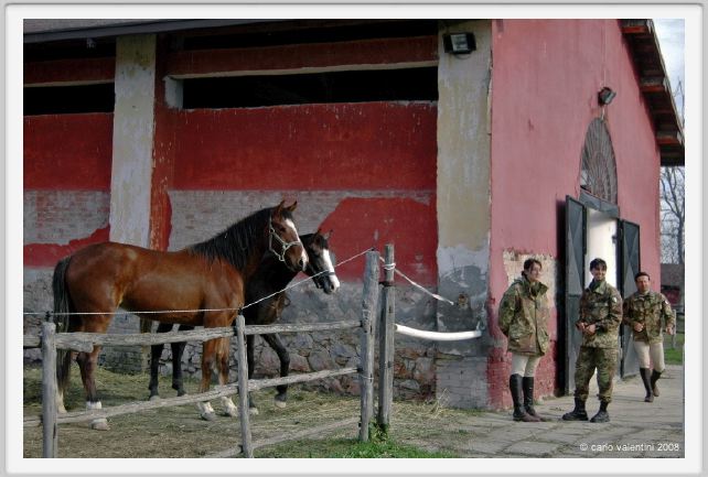 cmv_grosseto027