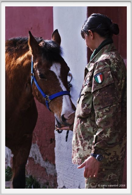 cmv_grosseto030