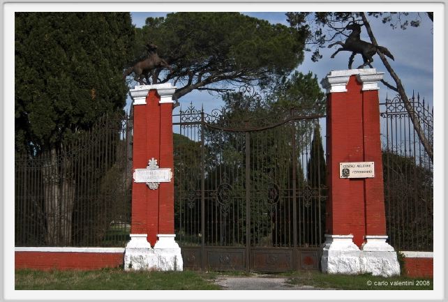 cmv_grosseto003