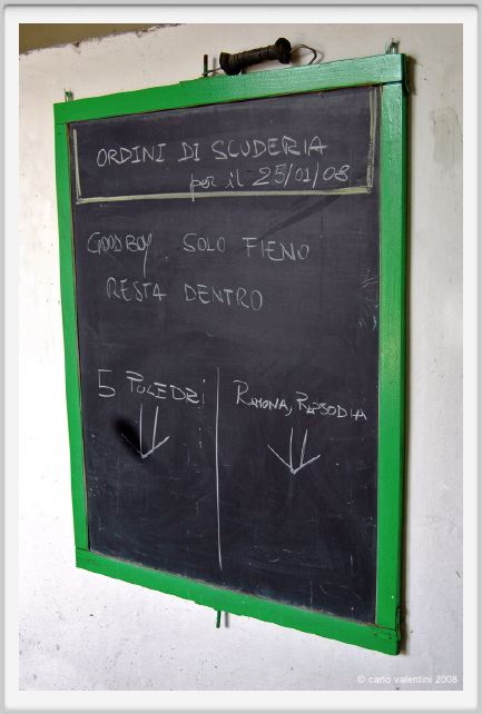 cmv_grosseto037