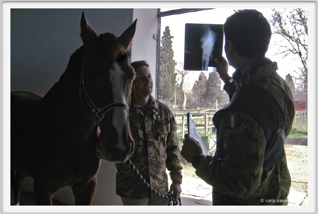 cmv_grosseto042