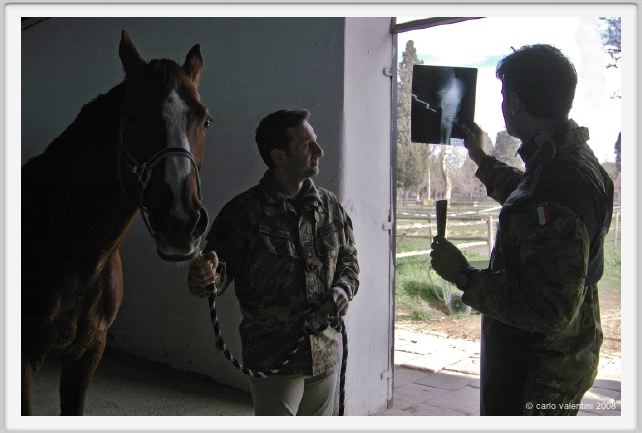 cmv_grosseto043