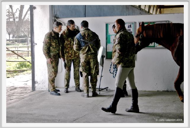cmv_grosseto045