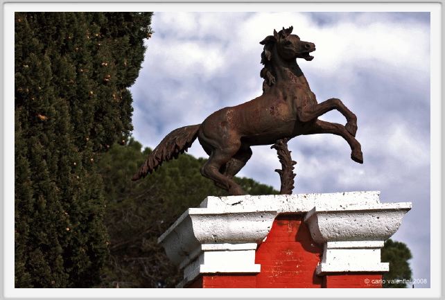 cmv_grosseto005