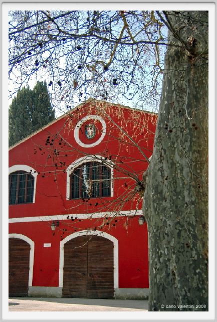 cmv_grosseto056
