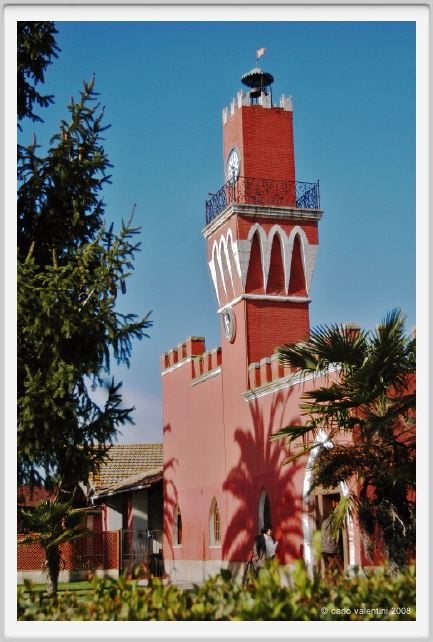 cmv_grosseto057