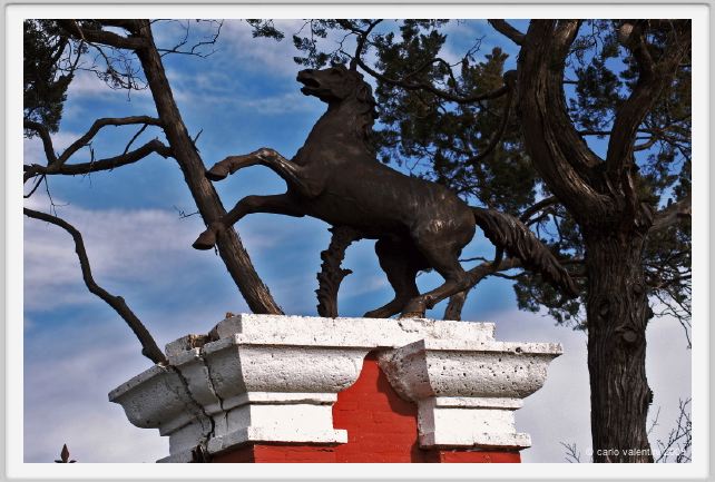 cmv_grosseto006