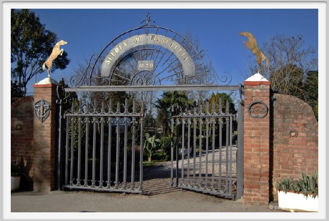 cmv_grosseto061