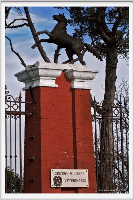 cmv_grosseto007