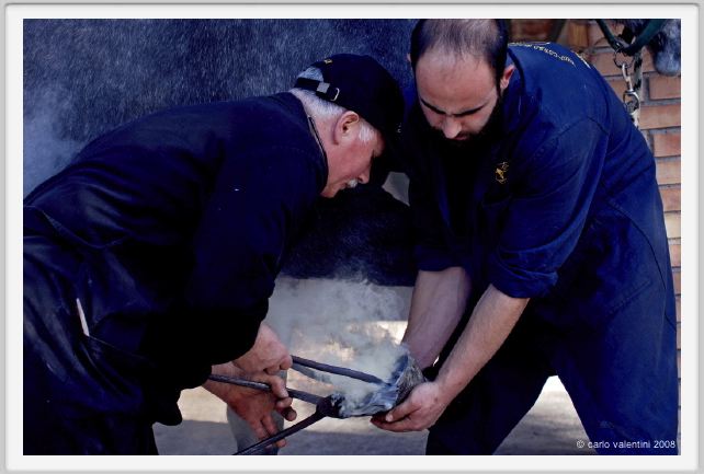 cmv_grosseto069