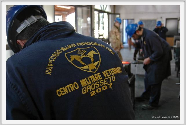 cmv_grosseto080