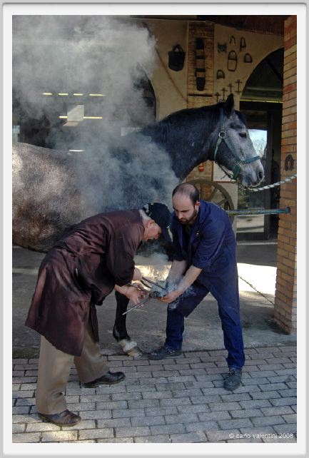 cmv_grosseto084