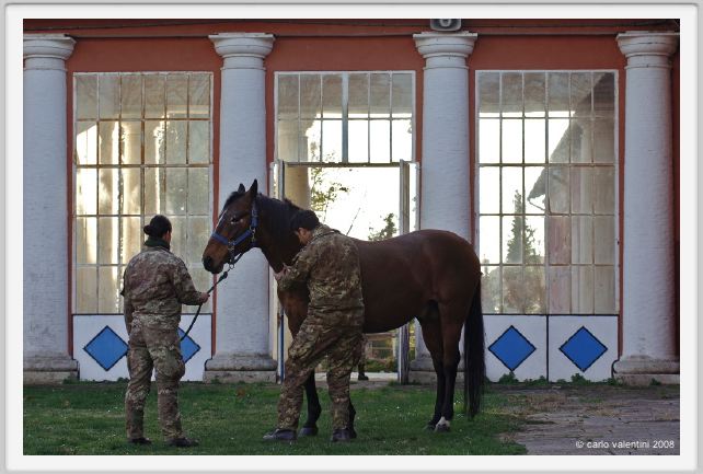 cmv_grosseto096