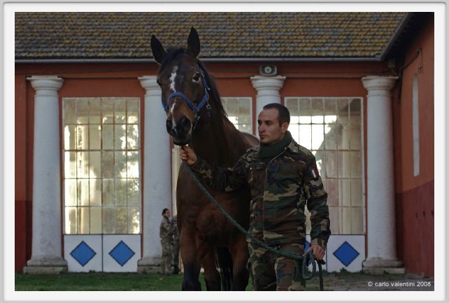 cmv_grosseto104