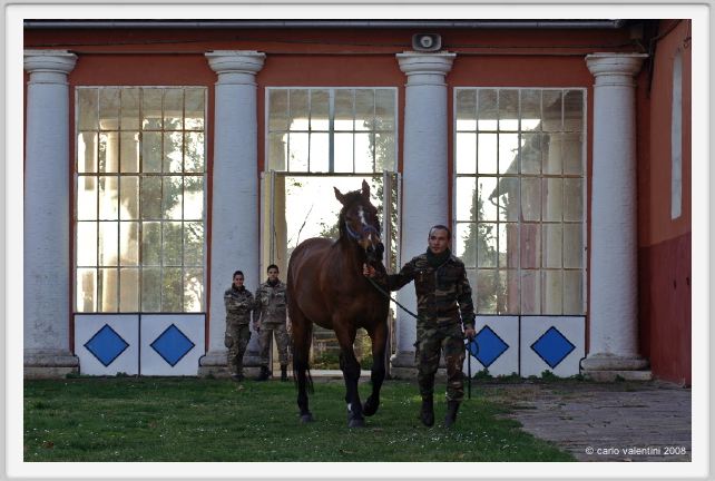 cmv_grosseto105