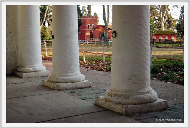 cmv_grosseto111