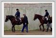 cmv_grosseto126