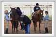 cmv_grosseto130