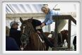 cmv_grosseto131