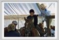 cmv_grosseto132