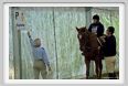 cmv_grosseto134