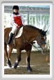 cmv_grosseto137