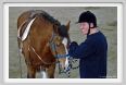 cmv_grosseto138