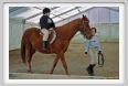 cmv_grosseto139