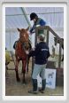 cmv_grosseto141