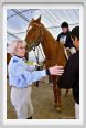 cmv_grosseto146