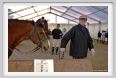 cmv_grosseto150