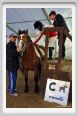 cmv_grosseto152