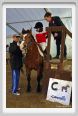 cmv_grosseto153