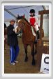cmv_grosseto156