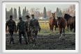 cmv_grosseto173