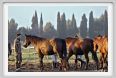 cmv_grosseto174