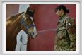 cmv_grosseto018