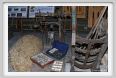 cmv_grosseto187