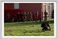 cmv_grosseto195