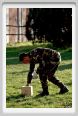 cmv_grosseto208