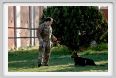 cmv_grosseto209