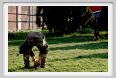 cmv_grosseto210