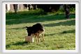 cmv_grosseto211