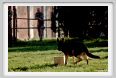 cmv_grosseto212