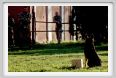 cmv_grosseto213