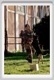 cmv_grosseto214