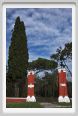 cmv_grosseto002