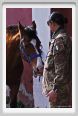 cmv_grosseto030